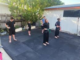 Image result for moray coast tang soo do