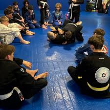 Image result for Newcastle under Lyme Sambo, Judo and Masac Ju Jitsu club