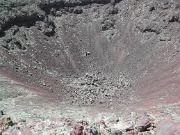 Attēlu rezultāti vaicājumam “Craterium sp.”