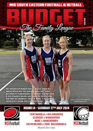 Image result for Wombles Netball Club