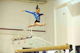 Image result for Harrow School Of Gymnastics