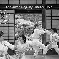 Image result for Ryusui-ryu Martial Arts School East Grinstead