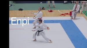 Image result for enpi dojo