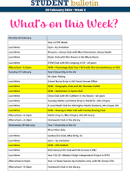 Image result for maiden Erlegh Subbuteo Club