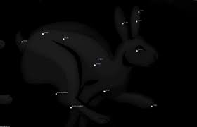 Attēlu rezultāti vaicājumam “Lepus sp.”