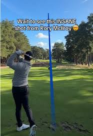 Image result for Rory Parle