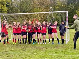Image result for Crawley Down Netball Club