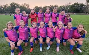 Image result for Hedingham Hawks Youth Football Club