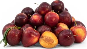 Attēlu rezultāti vaicājumam “Prunus cerasifera fruit”