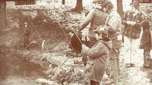 Image result for Guildford and District Gun Club