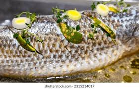 Image result for Liza ramada