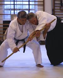 Image result for Kakumei Kan Aikikai (Middlesbrough)
