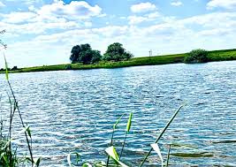 Image result for Orpington District Angling Association