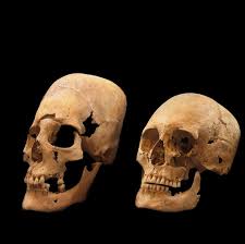Image result for elongated skulls