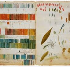 Image result for Thaddus Haenke