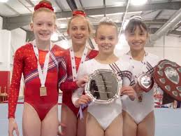 Image result for Horsham Gymnastics Club
