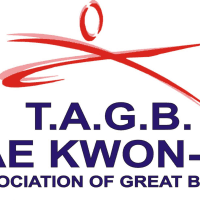 Image result for Didcot TAGB Tae Kwon Do