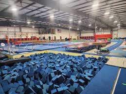 Image result for Loughton Gymnastics Club