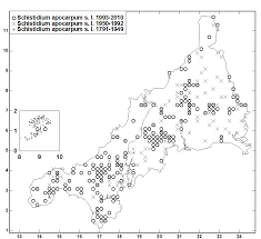 Attēlu rezultāti vaicājumam “Schistidium apocarpum stalked”