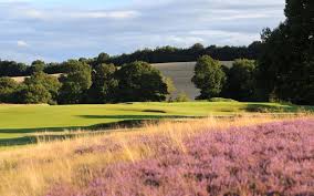 Image result for Notts Golf Club Ltd