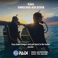 Image result for Robin Hood Dive School