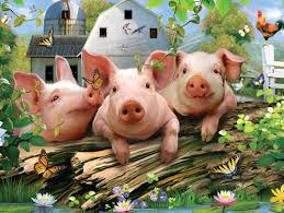 Image result for 3 little pigs