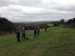 Image result for Compton and Shawford Sports Club