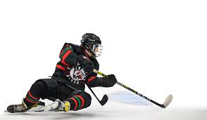 Image result for Basingstoke Bison Ice Hockey Club