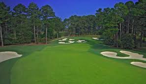 Image result for Tadworth Athletic Club