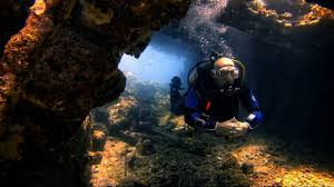 Image result for Barnsley BSAC Divers