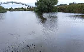 Image result for Reigate & District Angling Association