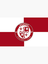 Image result for Woking Korfball Club