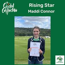 Image result for Ballinger Waggoners Cricket Club