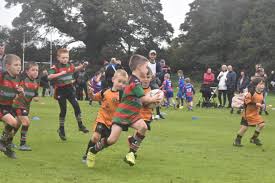 Image result for Littleborough Amateur Rugby League Football Club