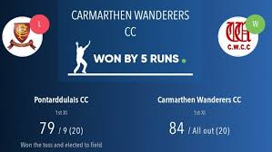 Image result for Carmarthen Wanderers Cricket Club