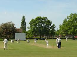 Image result for LITTLE GADDESDEN CRICKET CLUB