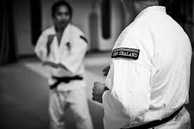 Image result for Durham University Shorinji Kempo Society Club