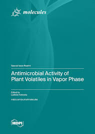 Image result for Sfânta Iuliana Falconieri