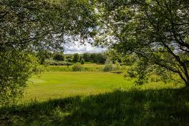 Image result for Clandon Regis Golf Club Ltd