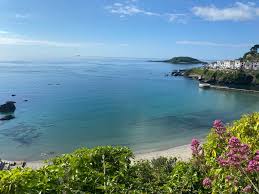 Image result for Looe Diving Club
