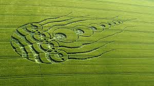Image result for crop circles