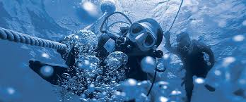 Image result for World Divers