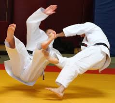Image result for Didcot Judo and Karate Club