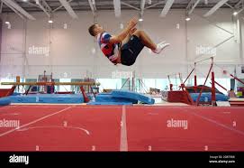 Image result for South Essex Gymnastics Club