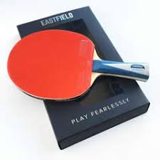 Image result for Fastbats Table Tennis Club