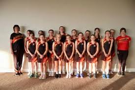 Image result for Mk Netters Netball Club