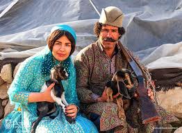 Image result for Nomads