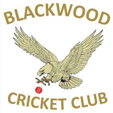 Image result for Blackwood Town Cricket Club