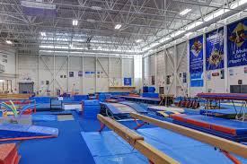 Image result for Sheredes Gymnastics Club