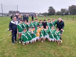 Image result for Shamrocks Hurling & Football Club